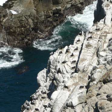 Giorno 16 Lungo la costa: Point Lobos e Monterey