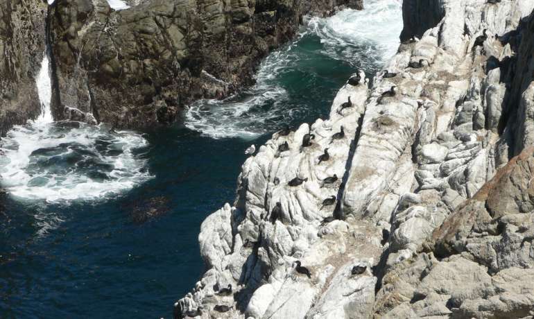 Giorno 16 Lungo la costa: Point Lobos e Monterey