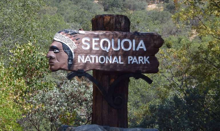 Giorno 10 Da Yosemite a Sequoia National Park